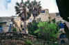 jaffa004_a.jpg (53173 bytes)